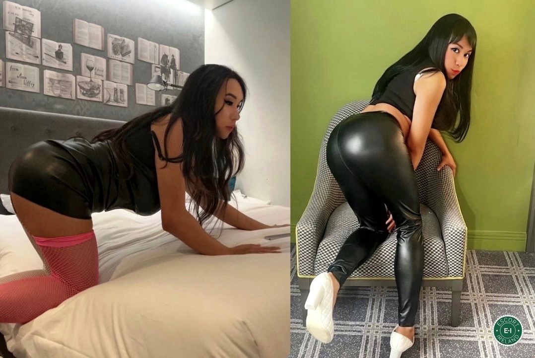 Tasya TV